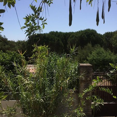 Maison D'Elie Saint-Tropez Esterno foto