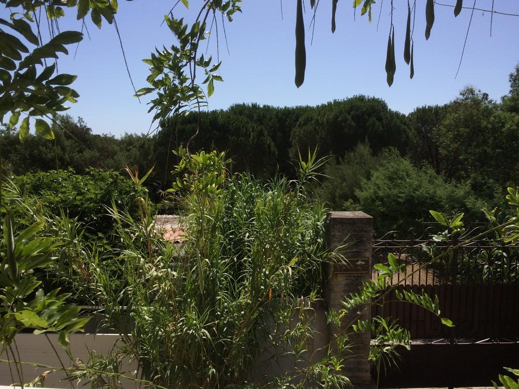 Maison D'Elie Saint-Tropez Esterno foto